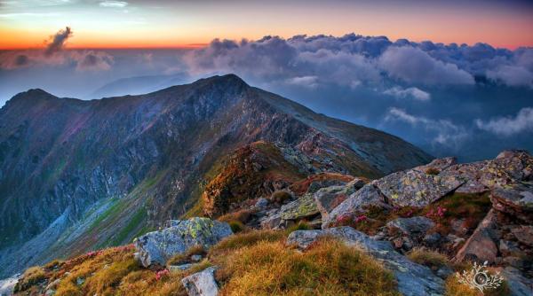 imagini rava itoare din transilvania pe un site interna ional