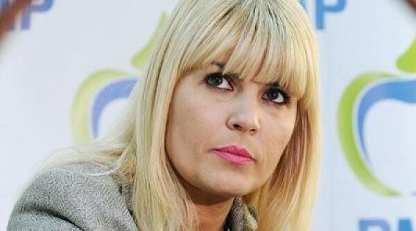 elena udrea mesaj pe facebook