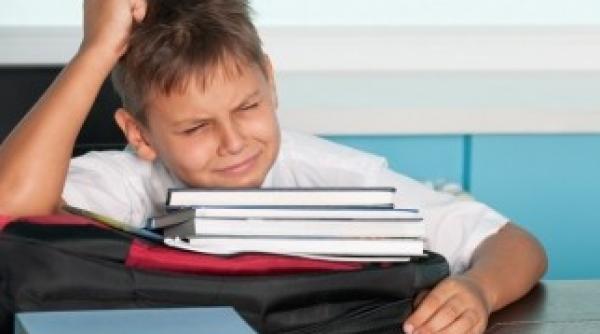 programul cornul i laptele bataia de joc a autorita ilor i a copiilor rasfa a i