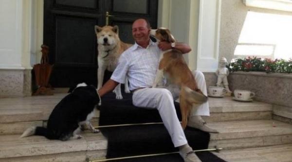 traian basescu va fi mutat de guvern din vila lac 3 in alta casa temporar