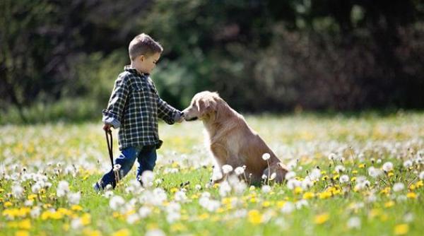 ca elul orb care ii ajuta pe bolnavi sa zambeasca din nou