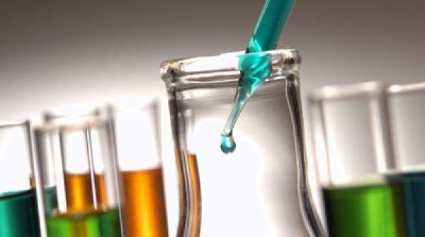 cercetatoare romanca selectata pentru un grant de cercetare