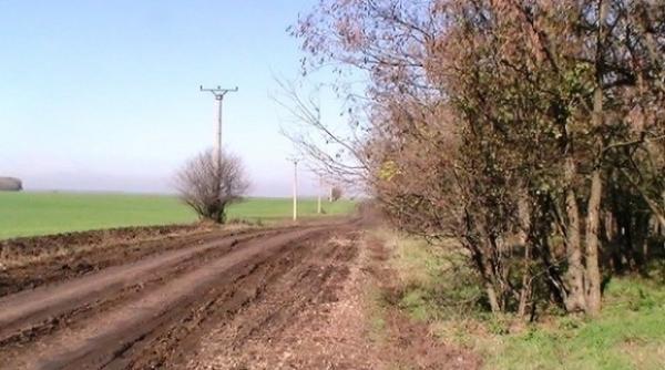 lovitura pentru traian basescu ce a decis parchetul general cu terenurile de la nana