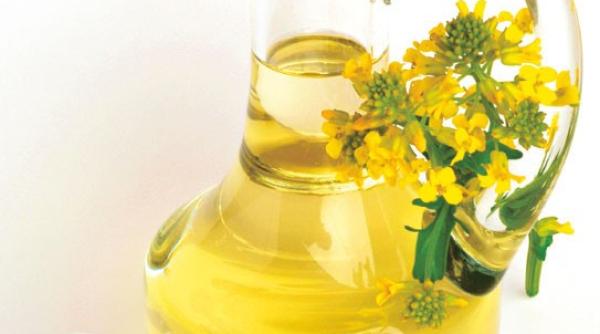 ulei de rapi a beneficii lupta impotriva cancerului reduce colesterolul si amelioreaza artrita