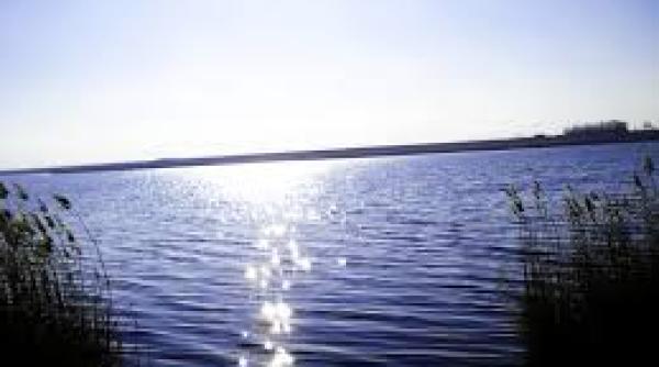 ingredient secret cu puteri tamaduitoare din lacul amara descoperit de petru poni