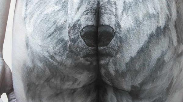 reclame ocante pentru prevenirea cancerului foto i video