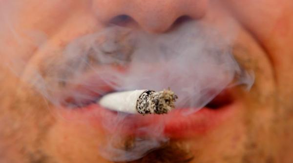 angajati ai primariei timi oara droga i in timpul serviciului