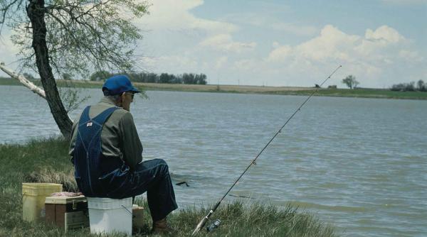 bancul zilei ion merge la pescuit