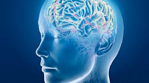 tratament alzheimer  unde sonore  prc e2prc 80prc 9esuntem foarte incantaprc c8prc 9bi de aceasta inovaprc c8prc 9bieprc e2prc 80prc 9d