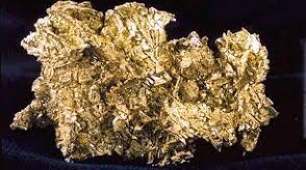 o comoara nebanuita cat valoareaza aurul din fecalele umane