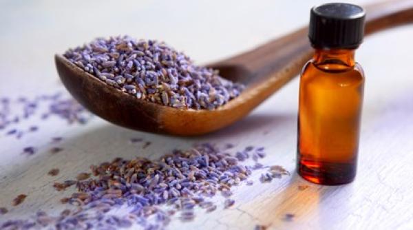 salvie  beneficii  stimuleaza secretia de bila  combate astenia nervoasa  lupta impotriva alzheimerului