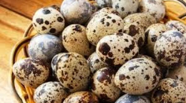 oua de prepeli a farmacie naturala pentru organism