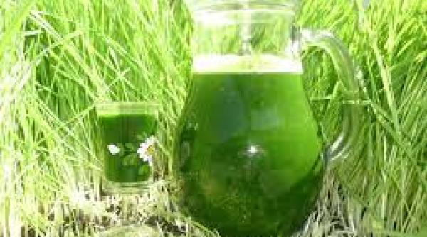 sucul de iarba de grau beneficii neutralizeaza tumorile stimuleaza tiroida reduce presiunea arteriala