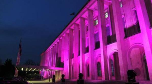 palatul victoria  iluminat in mov  care este motivul