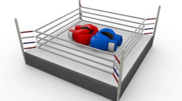 elena udrea gala bute a fost asumata de guvernul boc