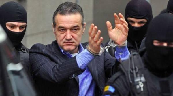 gigi becali ramane in arest decizie a fost amantata