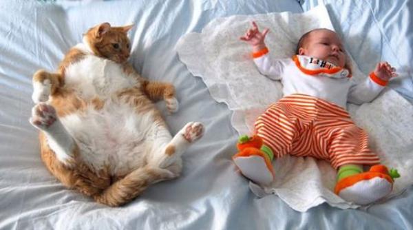 pisici i copii momente adorabile foto