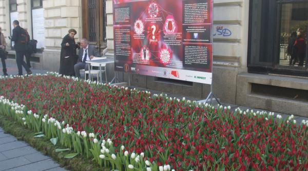 parkinson boala batrane ii care ii love te i pe tineri primul covor din lalele foto