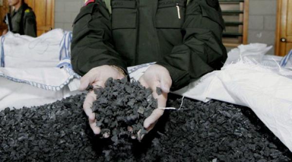 timi oara captura de 70 de kilograme de cocaina neagra