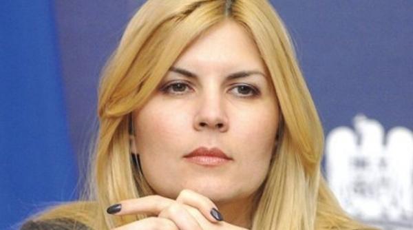 elena udrea pusa in arest la domiciliu