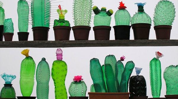 planta care produce plastic  japonezii schimba agricultura