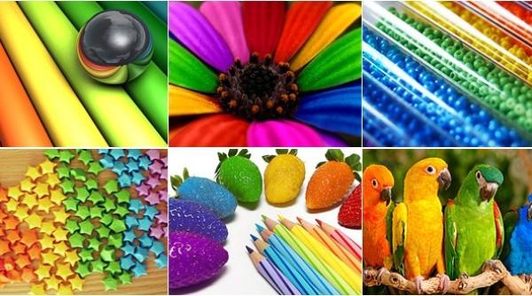 zece lucruri uimitoare despre culori  femeile prc c8prc 99i barbaprc c8prc 9bii vad culorile diferit   video