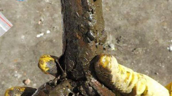 jucarie sexuala veche de sute de ani  descoperita in urma unor sapaturi arheologice