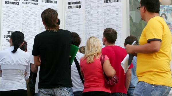 ins rata omajului i a ocuparii pentru popula ia din romania in 2014