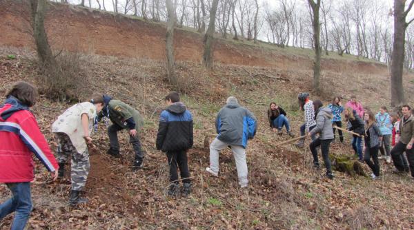institutul kaizen romania ofera o lec ie de respect fa a de natura