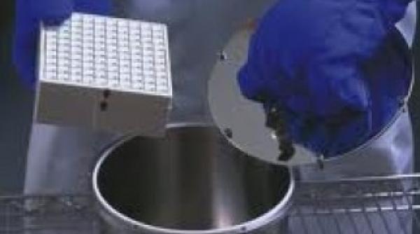 o feti a inghe ata pe parin i cel mai tanar om criogenizat are doi ani