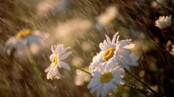 prognoza meteo racire accentuata i ploi in weekend