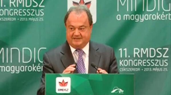 vasile blaga pnl vrea parteneriat pe 10 ani cu udmr