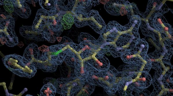 proteina care inarmeaza sistemul imunitar pentru a invinge cancerul