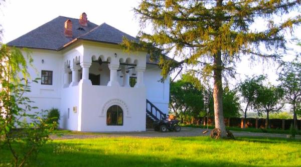 domeniul oteteli anu o noua tabara pentru arti ti