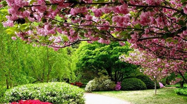 vremea de 1 mai prognoza meteo pentru urmatoarele doua saptamani