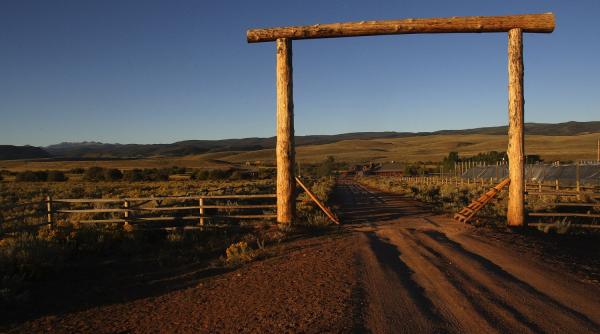 unpr va iniprc c8prc 9bia programul naprc c8prc 9bional prima ferma