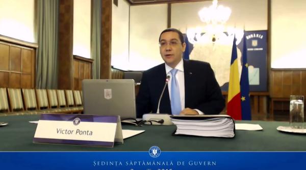 internship platit la guvern condi ii de participare