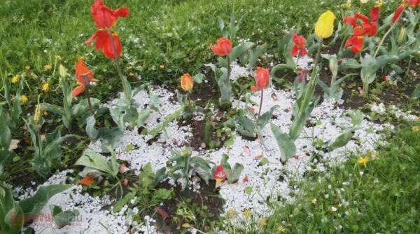 alerta meteo doua zile cu ploi puternice vant si grindina