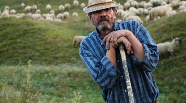 bancul zilei o femeie merge la stana dupa un cioban inzestrat