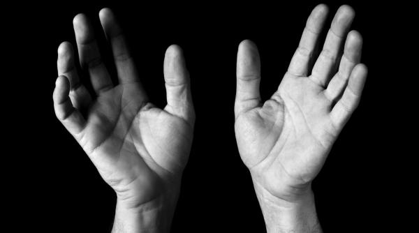 palmele indica totul despre sanatatea ta  de ce boli poprc c8prc 9bi suferi