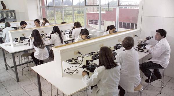 sinucideri in randul studen ilor francezi la medicina din cluj presa franceza ingrijorata