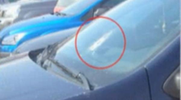 ma ina anaf vandalizata la vama veche