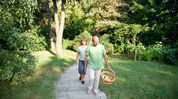 ra apps nu a vandut vila din snagov propusa lui traian basescu