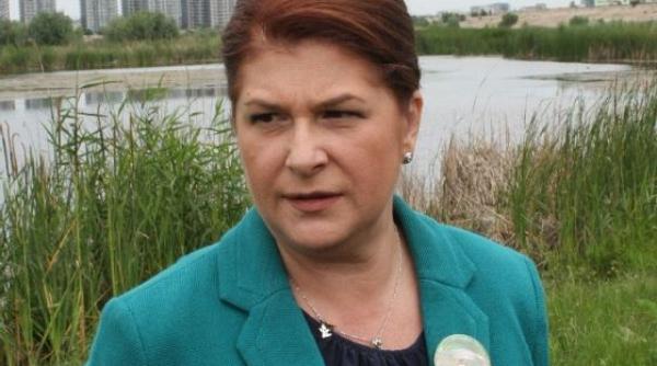 atac virulent din pnl la adresa rovanei plumb dupa scrisoarea catre alina gorghiu