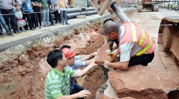 descoperire incredibila au gasit jurassic park