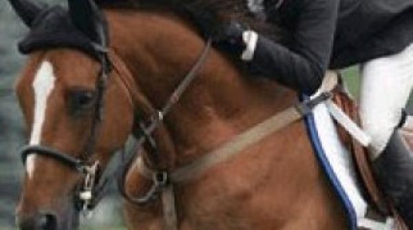 calin neme medalie de aur la transylvania horse show 2015