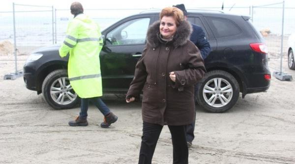 gra iela gavrilescu ministrul mediului pot suspecta consiliul concuren ei chiar de interese