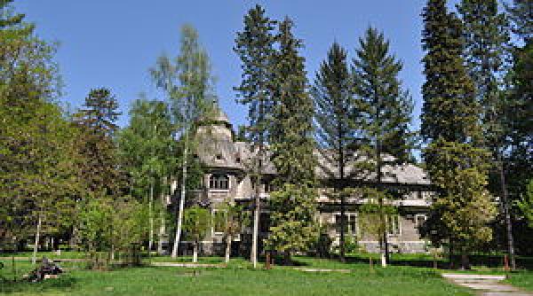 castelul pogany din hunedoara in care a trait muza lui constantin brancu i scos la vanzare