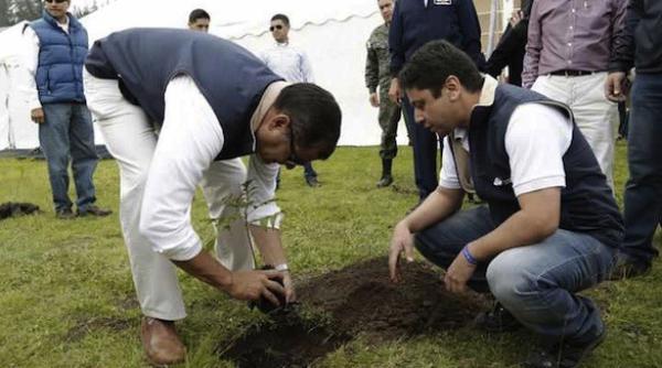 record in ecuador s au plantat intr o singura zi 650 000 de arbori