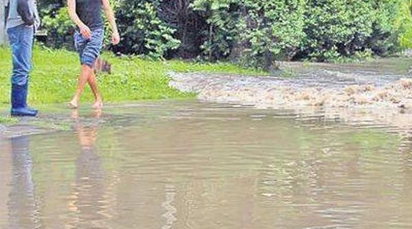 cod galben in trei jude e aten ionari de ultima ora